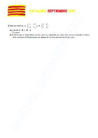 Ejercicio-de-clase-selectividad.pdf