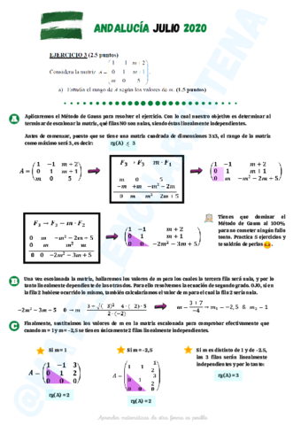 Ejercicio-resuelto-rango-de-una-matriz-matesencuarentena.pdf