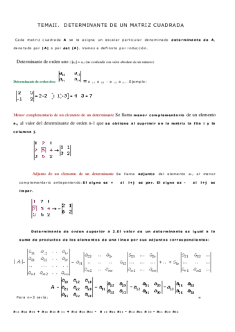 TEMA-II-DETERMINANTES.pdf