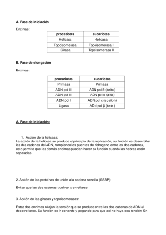 enzimas-replicacion.pdf