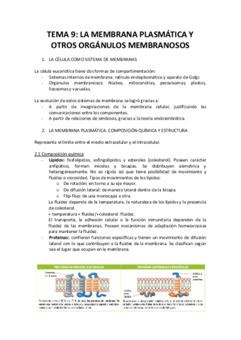 TEMA-9-la-membrana-plasmatica-y-otros-organulos-membranosos.pdf