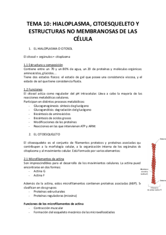 TEMA-10-hialoplasma-citoesqueleto.pdf