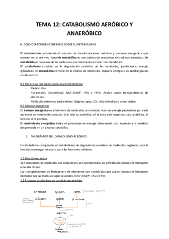 TEMA-12-CATABOLISMO-AEROBICO-Y-ANAEROBICO.pdf