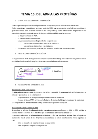 TEMA-15-DEL-ADN-A-LAS-PROTEINAS.pdf