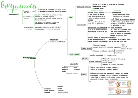 Esquema-Bioquimica.pdf