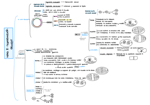 Esquemas-2-Bloque.pdf