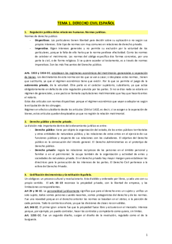 Tema-1-civil.pdf