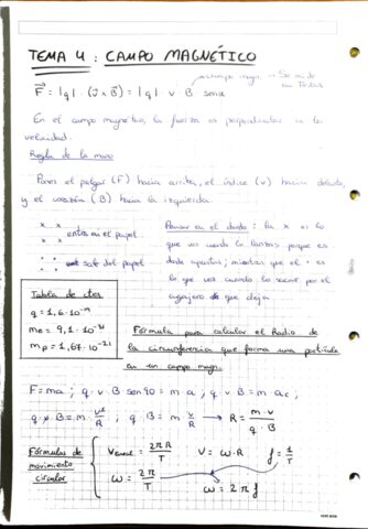 Fisica-3-Campo-magnetico.pdf