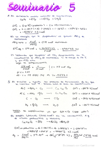 seminario-tema-5.pdf