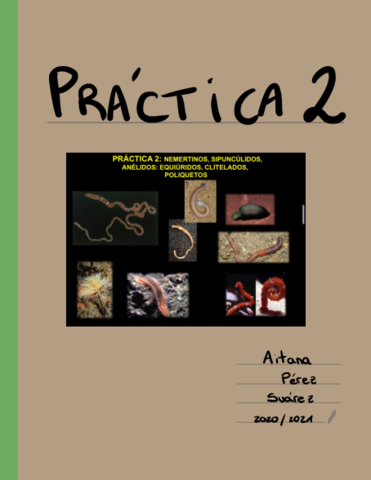 Practica-2-Muestras.pdf