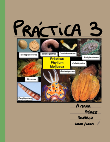 Practica-3-Muestras.pdf