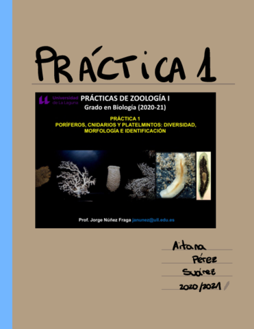 Practica-1-Muestras.pdf