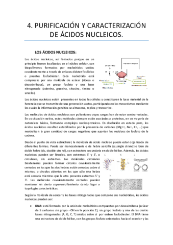 Apuntes-acidos-nucleicos.pdf