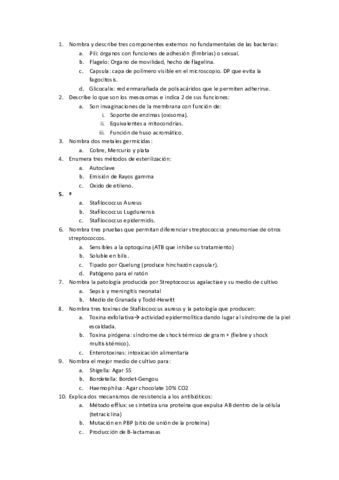preguntas-bacterio-examen.pdf
