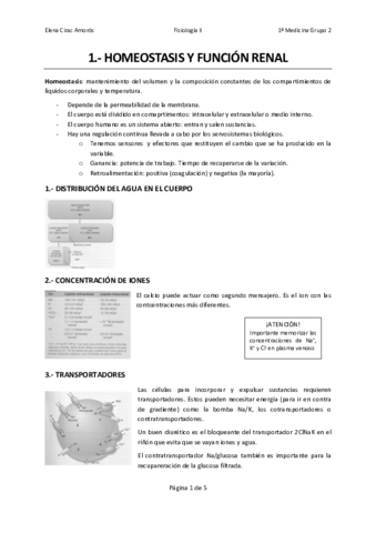 Temas-1-29-.pdf