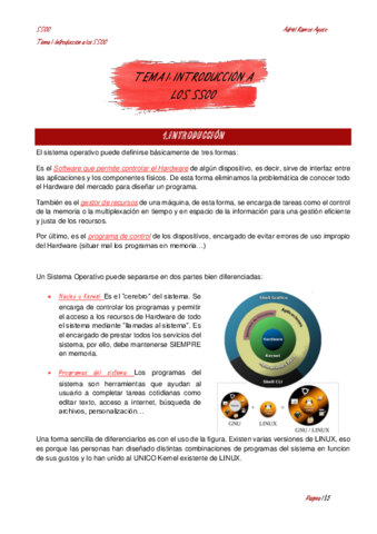 TEMA1-Introduccion-a-los-SSOO.pdf