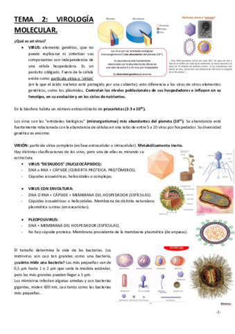 TEMA-2.pdf