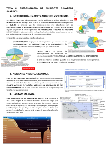 TEMA-6.pdf