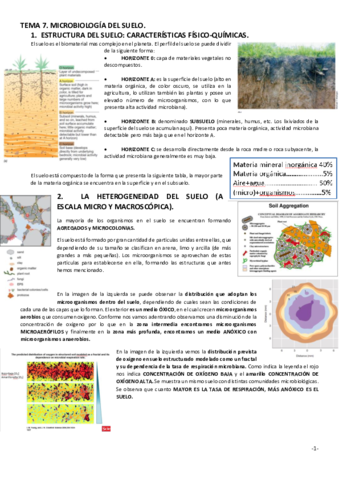 TEMA-7.pdf