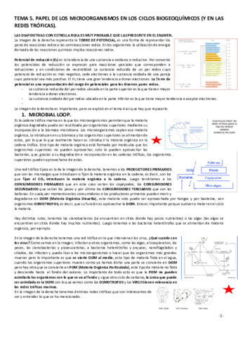 TEMA-5.pdf