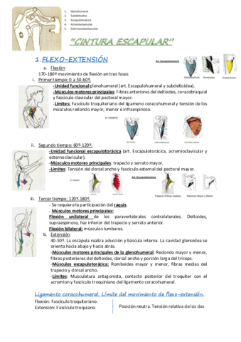 CINTURA-ESCAPULAR.pdf