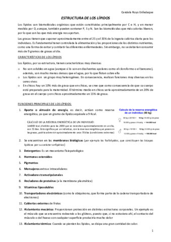 Candela-Royo-seminario-2-lipidos.pdf