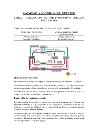 TEMA7ECONOMIA.pdf