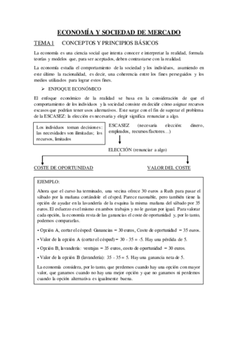 TEMA1ECONOMIA.pdf