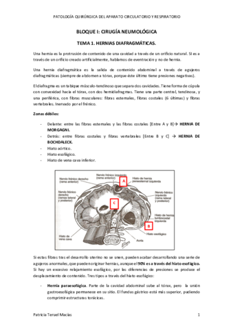 APUNTES-PQ1.pdf