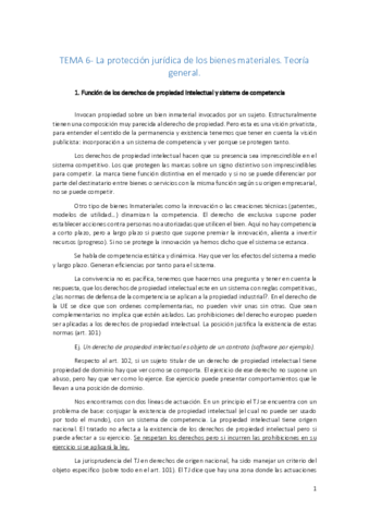 6-Tema-6-La-proteccion-juridica-de-los-bienes-inmateriales.pdf