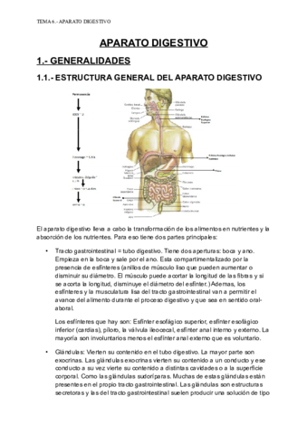 APARATO DIGESTIVO.pdf
