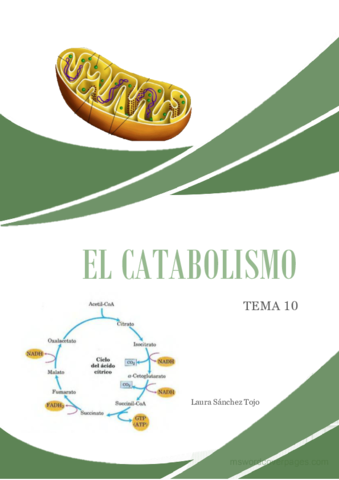 El-catabolismo-Tema-10.pdf