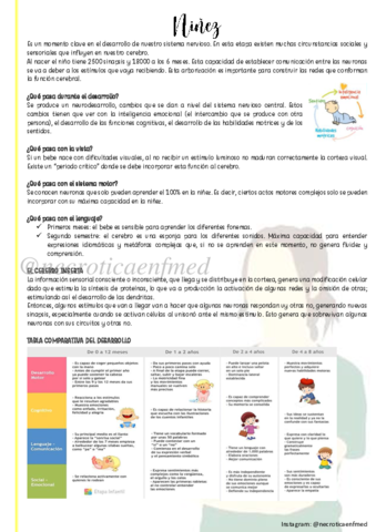 Ninez.pdf