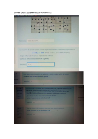 EXAMEN-ONLINE-DE-SEMINARIOS-Y-UNA-PRACTICA.pdf