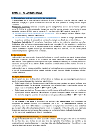 TEMA-11-BIOLOGIA.pdf