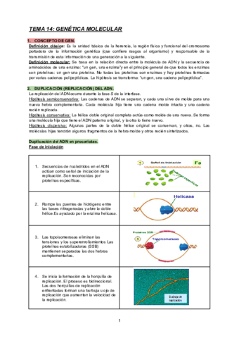 TEMA-14-BIOLOGIA.pdf