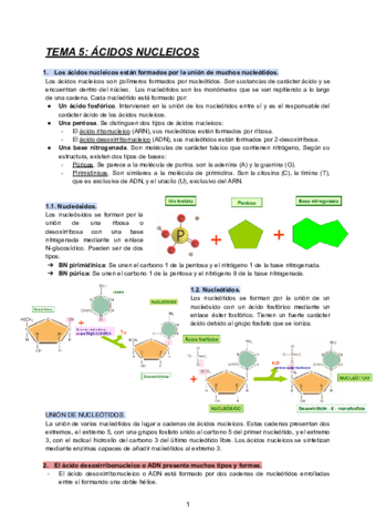 TEMA-5-BIOLOGIA.pdf