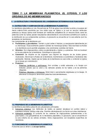 TEMA-7-BIOLOGIA.pdf