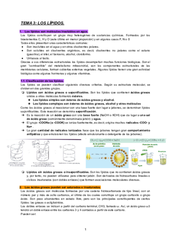 TEMA-3-BIOLOGIA.pdf
