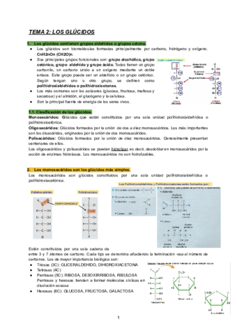 TEMA-2-BIOLOGIA.pdf