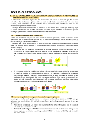 TEMA-10-BIOLOGIA-2.pdf