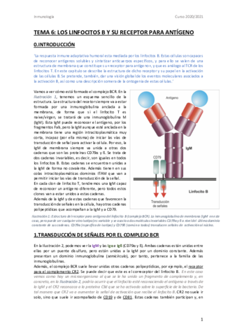 InmunoTEMA6.pdf