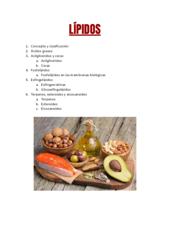 Tema-5-Lipidos.pdf