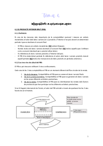 Tema-4-Resum-Impr.pdf