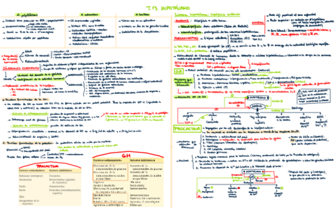 Tema-13-Hipotalamo.pdf