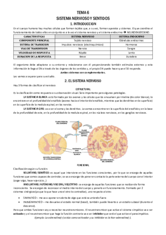 TEMA-6-fisio.pdf