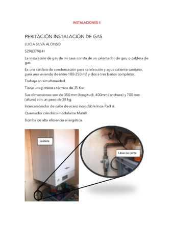 PERITACION-INSTALACION-DE-GAS-LUCIA-SILVA.pdf