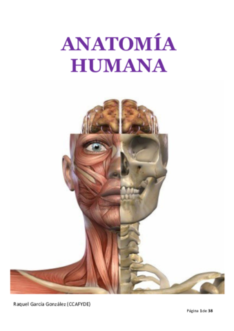 ANATOMIA-HUMANA.pdf