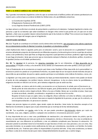 APUNTES-PENITENCIARIA.pdf