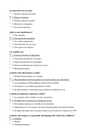 preguntas2.pdf